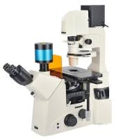活细胞倒置LED荧光显微镜IMC-900TFL