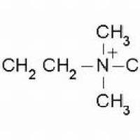 66-23-9/	 化乙酰胆碱,	BR，98%