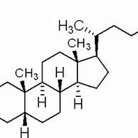 434-13-9/ 石胆酸 ,BR，97%