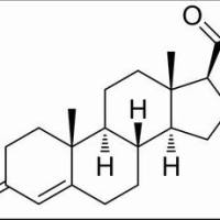 57-83-0/ 黄体,BR,98%