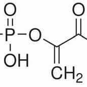 4265-07-0/ 磷酸烯醇酮酸单钾盐 ,超纯，98%