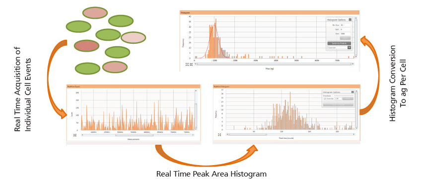 好课回顾 | 单细胞 ICP-MS 网络研讨会
