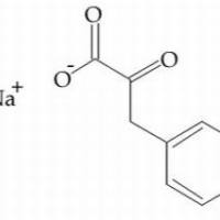 114-76-1/ 苯酮酸钠 .高纯,98%