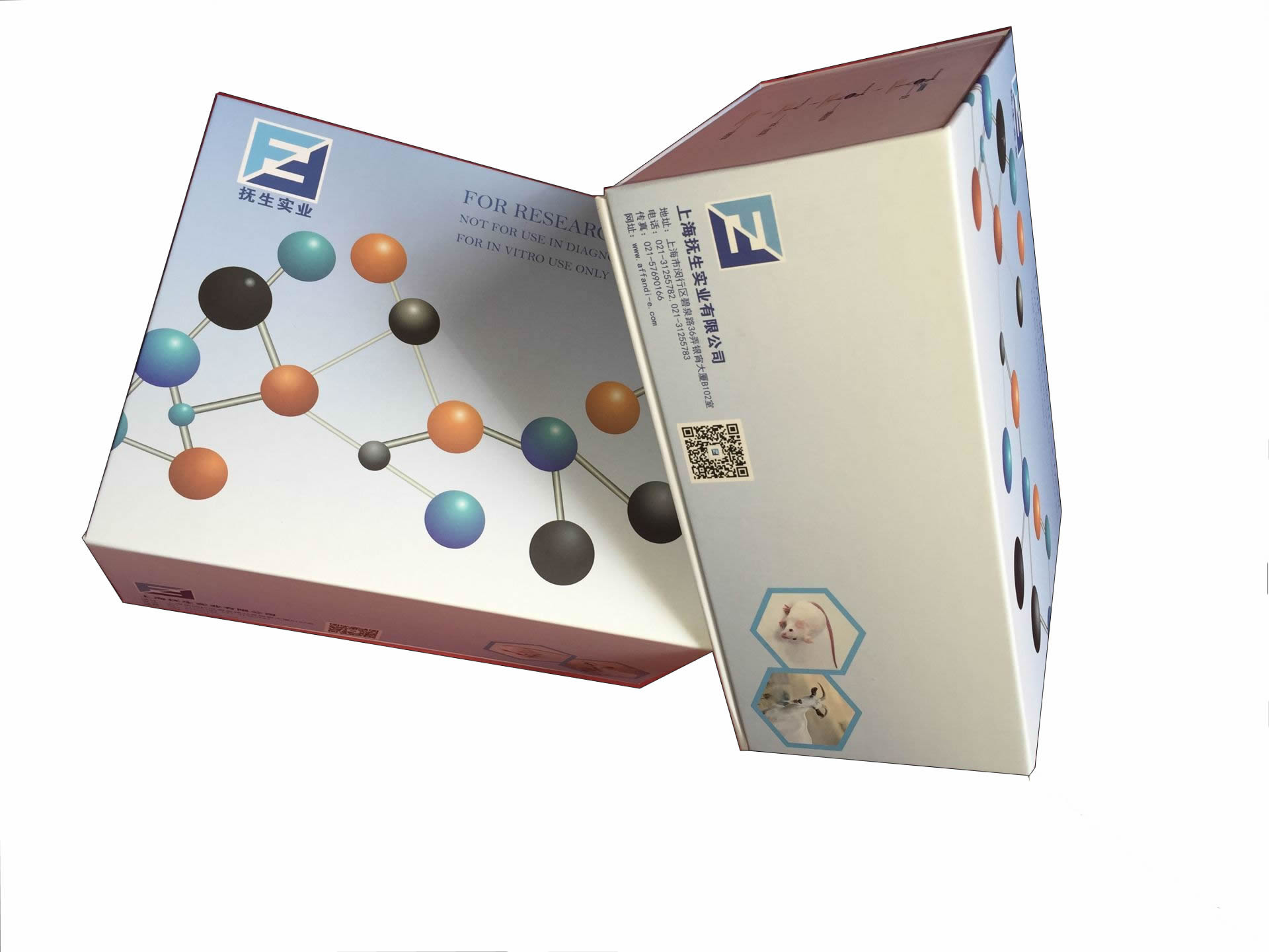 Thrombomodulin/CD141 mRNA原位杂交试剂盒100T/盒