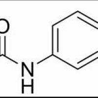 103-90-2/	 对乙酰氨基酚 ,	AR,99%