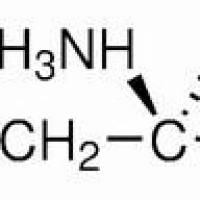 9000-70-8/	 明胶,	BR