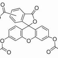 124387-19-5/	 5(6)-羧基荧光素二乙酸酯 ,	Forfluorescence,90%