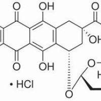 23541-50-6/	 盐酸柔红霉素,	97%