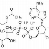 75520-41-1/ 乙酰辅酶A三锂盐 ,BR,93%