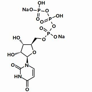 285978-18-9/ 5-尿苷三磷酸二钠盐,超纯，98%