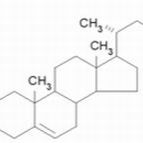 915-05-9/ β-谷甾烷醇乙酸酯 .40.0%,GC