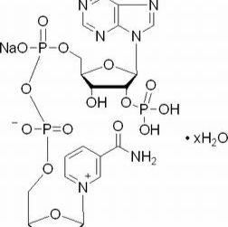 1184-16-3/	 氧化型辅酶Ⅱ单钠盐,98%