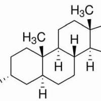 53-41-8/	 雄酮,	分析标准品,HPLC≥98%