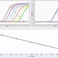 5×Fast One-Step RNA Probe qPCR Mix (UNG)