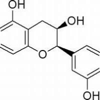 490-46-0/	 表儿茶素 源叶	,96%（HPLC）