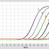 冻干Fast DNA TaqMan PCR Reagent