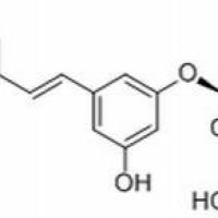 27208-80-6/ 虎杖苷, ≥95%(HPLC)