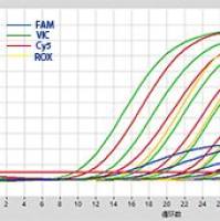 2×RAPA3G MultiPlex Probe qPCR Mix
