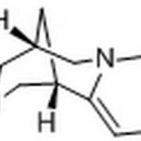 485-35-8/ 金雀花碱,≥98%(HPLC)