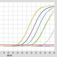 10min 病毒DNA/RNA提取试剂盒