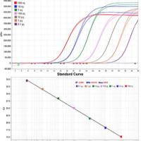 2×RAPA3G SYBR Green qPCR Mix