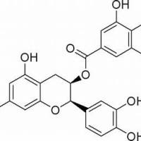1257-08-5/	 表儿茶素没食子酸酯 ,	98%