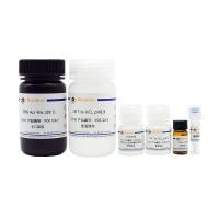 SDS-PAGE凝胶配制试剂盒