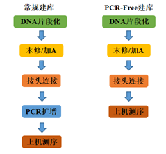 PCR-Free建库，你get到了吗？