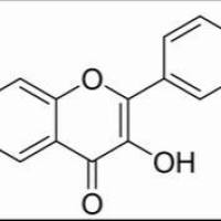 528-48-3/	 漆黄素 ,≥98%
