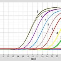 5×Fast One-Step RNA Probe qPCR Mix