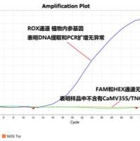 转基因作物检测试剂盒（CaMV35S/TNOS）