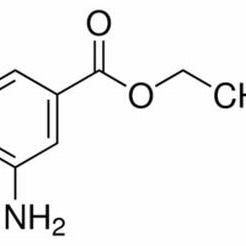 582-33-2/间基苯甲酸乙,	98%