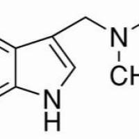 87-52-5/ 芦竹碱 , 98%
