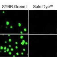 6XSafe Dye Loading Buffer