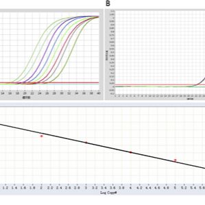 冻干Fast RNA TaqMan PCR Reagent