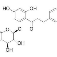 60-81-1/	 根皮苷 ,	≥98%