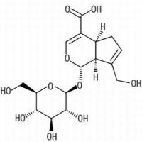 	 京尼平苷酸 ,	≥98%（HPLC）