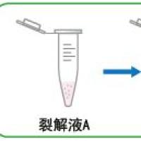 5min极速病毒RNA提取试剂盒