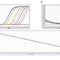 5×Fast SYBR Green qPCR Mix	