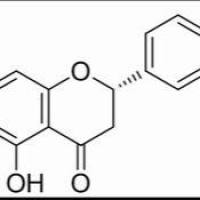 520-33-2/橙皮素 ,	97%(HPLC)