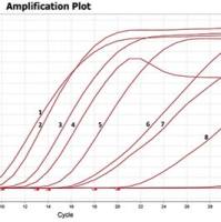 鸽新城疫病毒检测试剂盒（恒温LAMP-TaqMan荧光法）