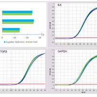 6min Fast 1st cDNA Synthesis Kit