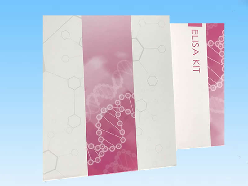 FOR Mast cell carboxypeptidase A ELISA Kit