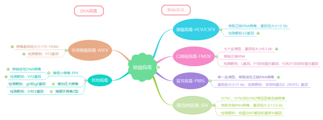猪「坚强」，猪瘟检测利器来袭