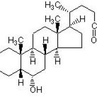 10421-49-5/ 脱氧胆酸钠(猪), 98%