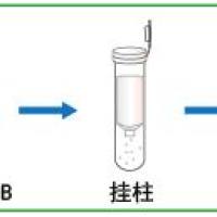 5min极速RNA提取试剂盒