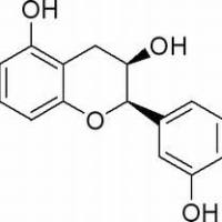 970-74-1/ 表没食子儿茶素, 90%(HPLC)