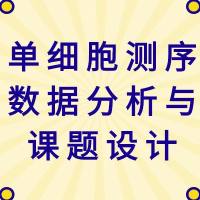 产品图