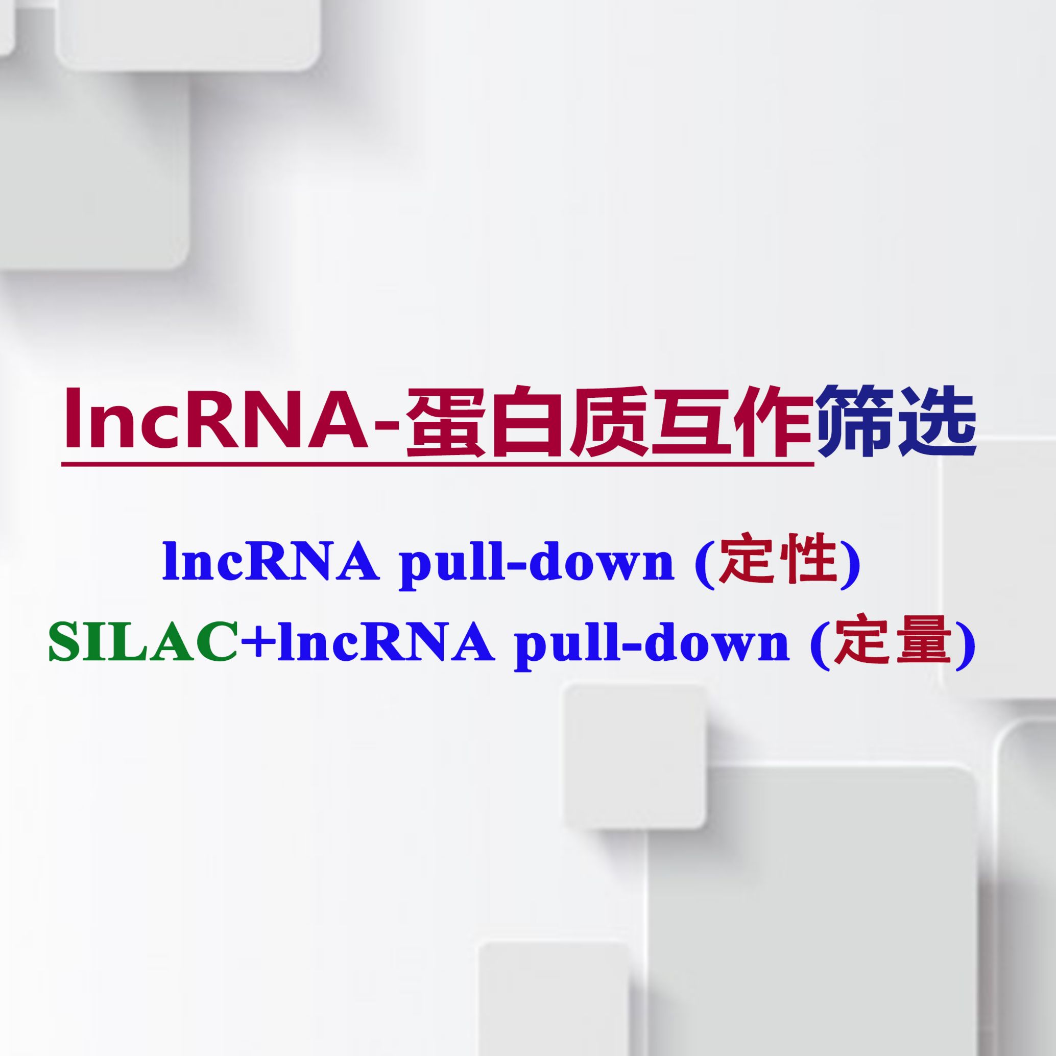 lncRNA-蛋白质相互作用筛选服务