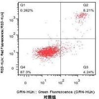 Annexin V-FITC/PI凋亡检测试剂盒